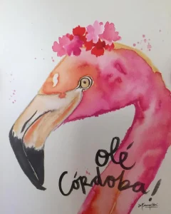 Artesania de Cordoba