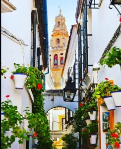 Artesania de Cordoba
